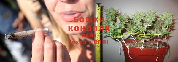 прущая мука Нея