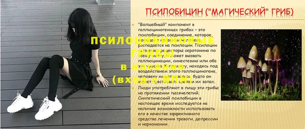 дурь Абаза